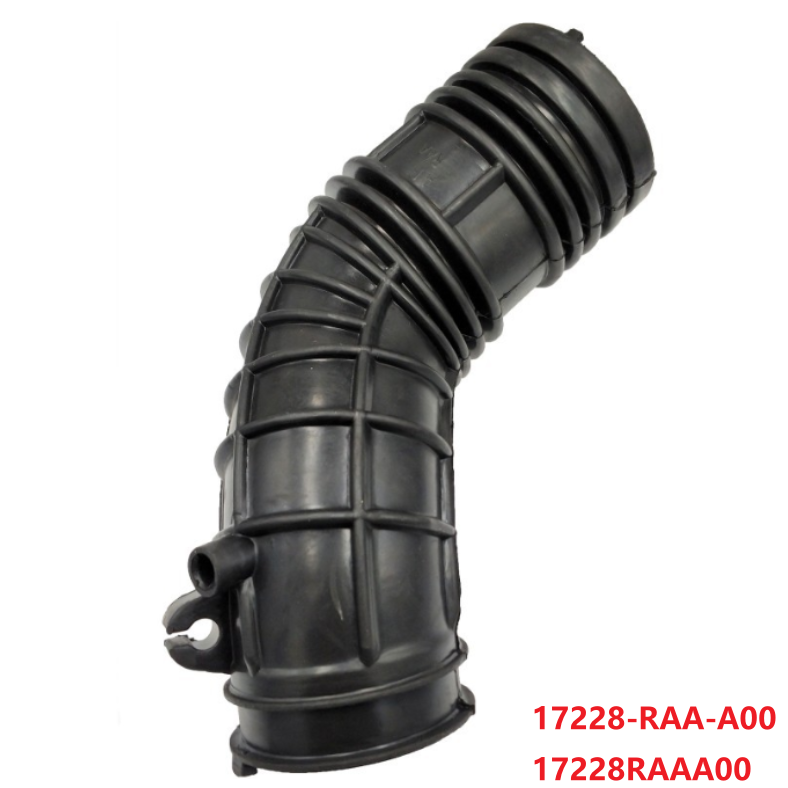 17228-RAA-A00
