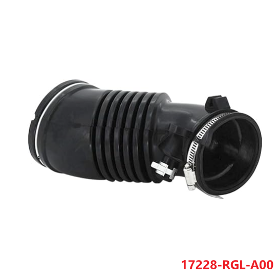 17228-RGL-A00