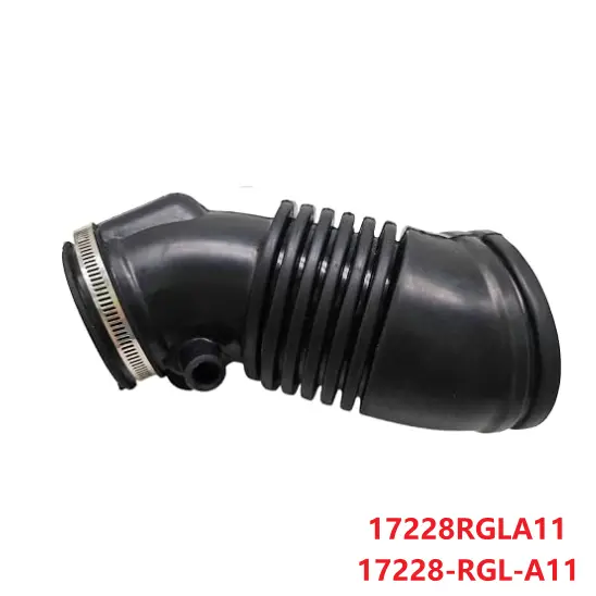 17228-RGL-A11