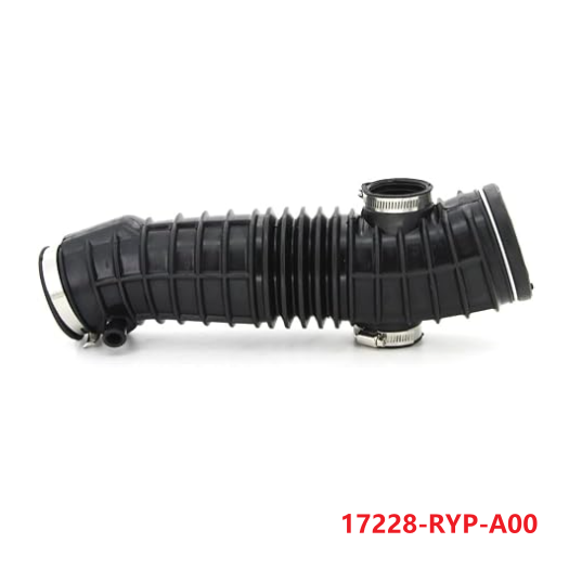 17228-RYP-A00